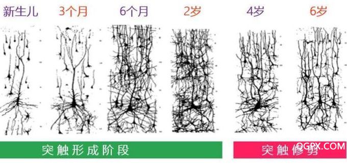 微信圖片_20181224140516.jpg