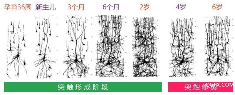 微信圖片_20190115180809.jpg